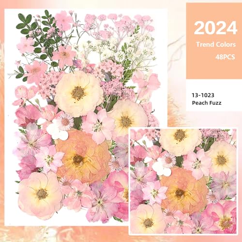 AHTONG 14 Types Pink Dried Pressed Flowers for Craft, Leaf Plant Herbarium for Resin Molds Jewelry Making Floral Decors (Peach Fuzz) - Image 3