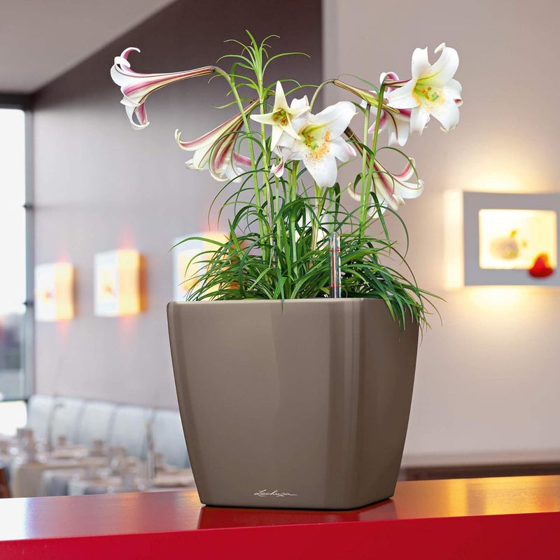 Lechuza QUADRO PREMIUM 35 LS - ALL IN ONE SILVER - Image 4
