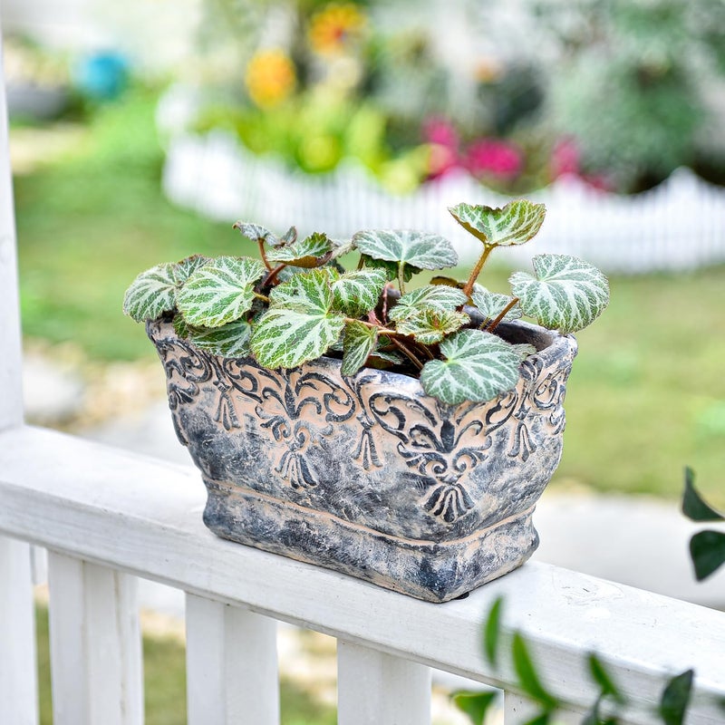 Sungmor 9.2 Inch Cement Plant Pot for Plants, Succulent Planter with Embossed Design, Vintage Concrete Flowerpots with Drainage Hole, Decorative Orchid Houseplant Pot Indoor Outdoor Plant Container - Image 5