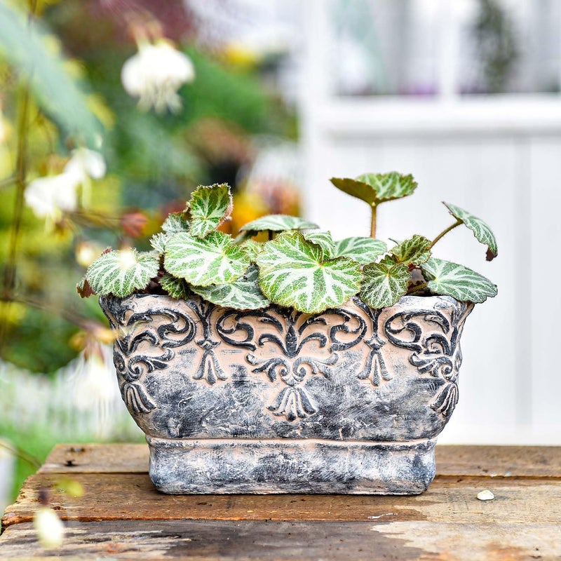 Sungmor 9.2 Inch Cement Plant Pot for Plants, Succulent Planter with Embossed Design, Vintage Concrete Flowerpots with Drainage Hole, Decorative Orchid Houseplant Pot Indoor Outdoor Plant Container - Image 4
