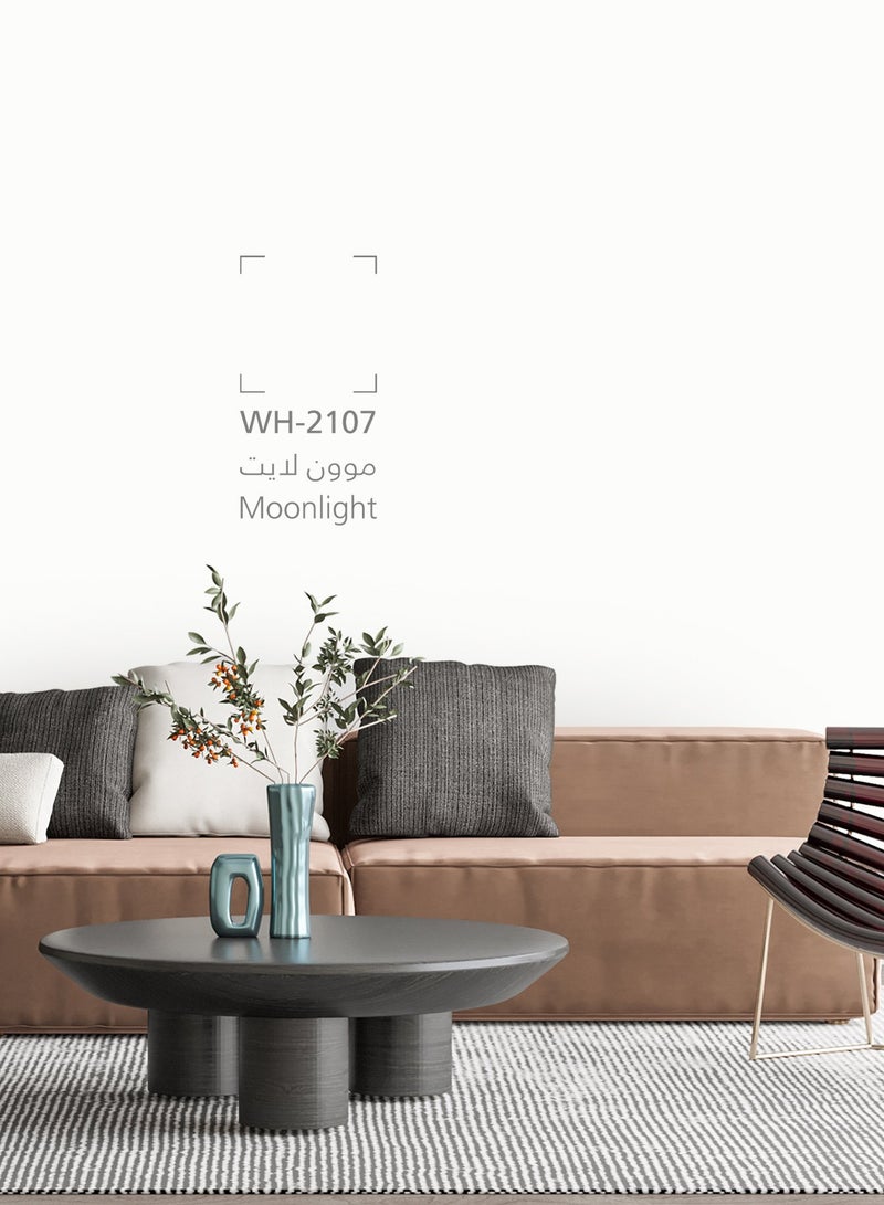 Jazeera Paints Green Interior Walls Paints Matt (color :Moonlight) 16.2L - Image 3