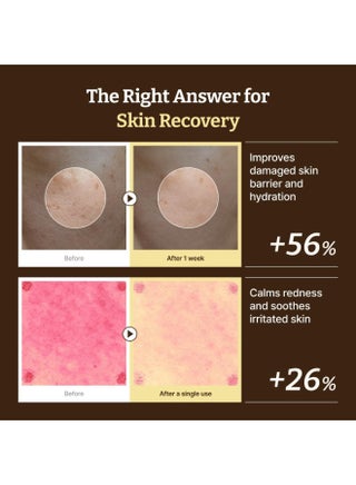 All Advanced PDRN Rejuvenating Cream 20ml | 99% Purity PDRN Salmon DNA, Collagen Gel Skin Repair Cream with Hyaluronic Acid & Niacinamide for Glass Skin | Night Routine Korean Skincare  - 20 ML - view 4