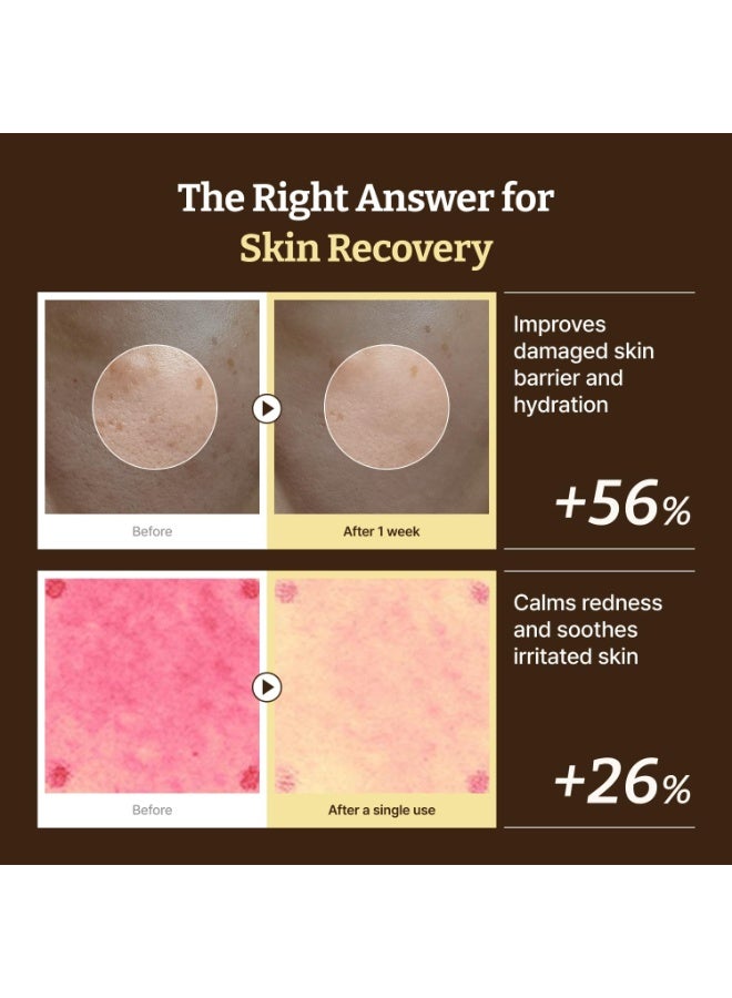 Dr.Reju-All Dr. Reju-All Advanced PDRN Rejuvenating Cream 20ml | 99% Purity PDRN Salmon DNA, Collagen Gel Skin Repair Cream with Hyaluronic Acid & Niacinamide for Glass Skin | Night Routine Korean Skincare - Image 4