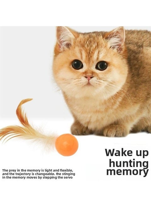 Must - have Elastic Ball & Feather Cat Teaser Wand for Self - entertaining Cats - Interactive Boredom - buster Pet Supplies