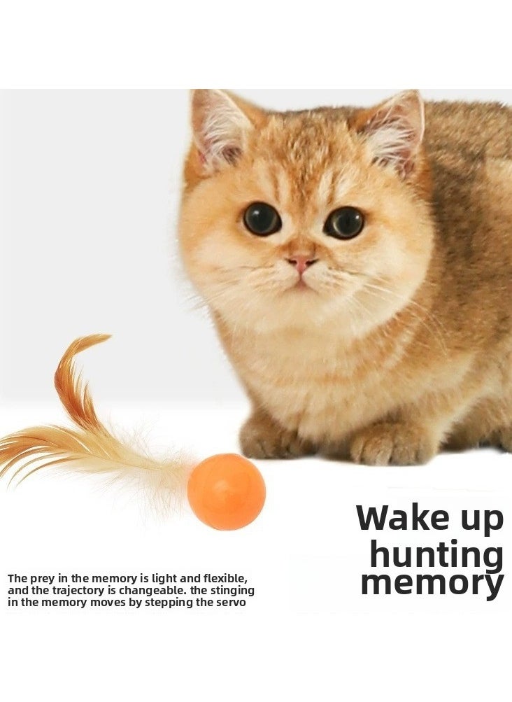 Must - have Elastic Ball & Feather Cat Teaser Wand for Self - entertaining Cats - Interactive Boredom - buster Pet Supplies