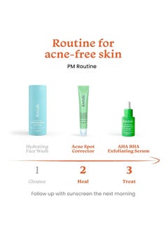 Foxtale Acne Treatment Smooth Sailing  Exfoliating Serum 30ml and Acne Spot Corrector Gel 15ml - pzsku/Z667DC797EE427FA2A735Z/45/_/1701673961/1691c33e-fac9-4209-9e71-010ee82632f9