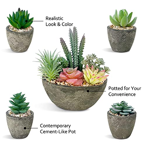 SPEPLA Succulents Plants Artificial Set of 5, Realistic Fake Succulents with Cement Like Pots for Home Office Decoration. - Image 5