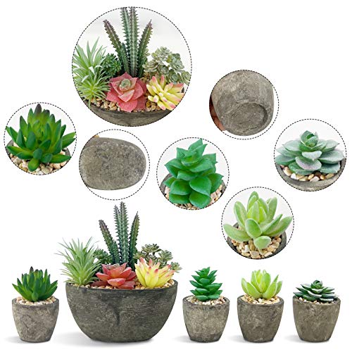 SPEPLA Succulents Plants Artificial Set of 5, Realistic Fake Succulents with Cement Like Pots for Home Office Decoration. - Image 3