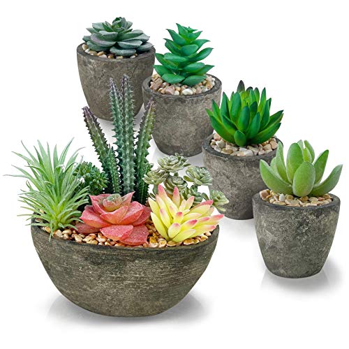 SPEPLA Succulents Plants Artificial Set of 5, Realistic Fake Succulents with Cement Like Pots for Home Office Decoration. - Image 1