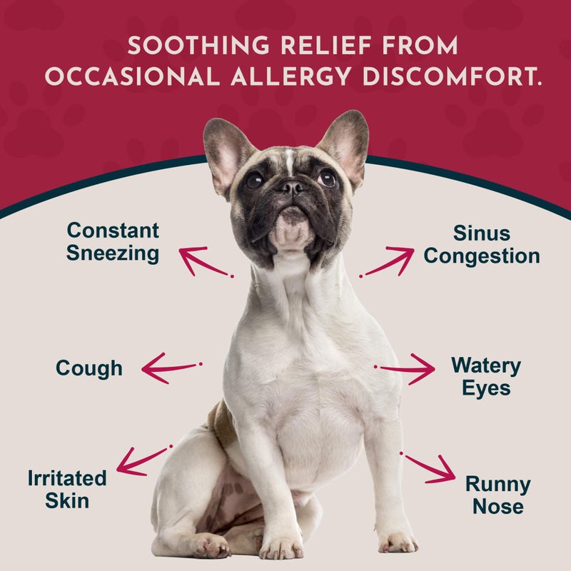 Animal Essentials علاج الحساسية الموسمية للحيوانات الأساسية للكلاب - دعم عشبي سائل للكلاب والقطط، مكمل صحي للبشرة الحساسة وراحة موسمية، صبغة عرق السوس، 100% عضوي - 1 أونصة سائلة - Image 2
