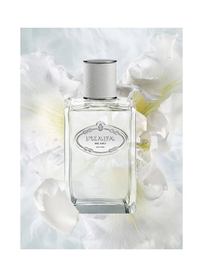 PRADA Milano Infusion Diris Cedre Eau de Parfum 100ml - Image 4