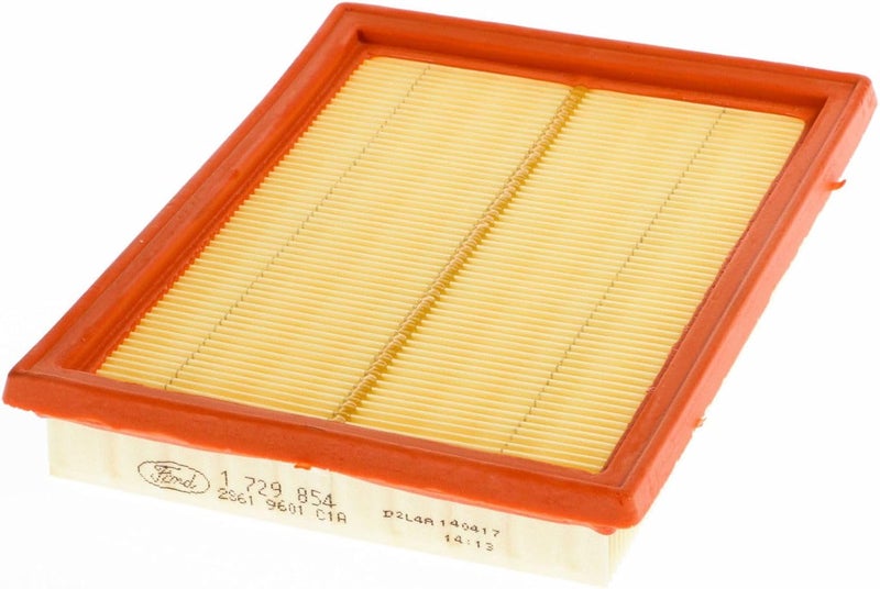 Ford Genuine Ford Air Filter for Figo, Fiesta, and Fusion Models - Image 1