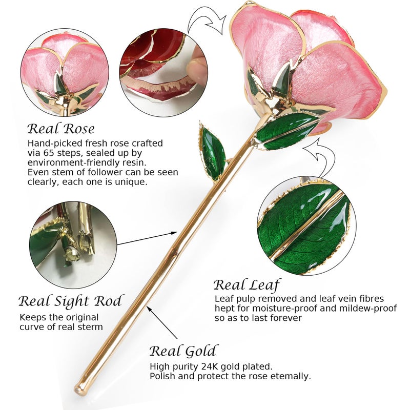 Sinvitron Gold Dipped Rose 24K Real Rose  Long Stem Gold Plated Rose with Stand  Romantic Gift for Her Birthday Gifts for Her  24K Golden Rose for Anniversary Valentines Day Mothers Day (Sweet Pink) - Image 3