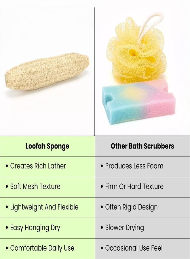 ORRIC Natural Loofah Sponge 8" Exfoliating Body Scrubber Organic Body Scrub Loofah Sponge for Bathing Bath and Shower Use (Pack of 3) - Image 5