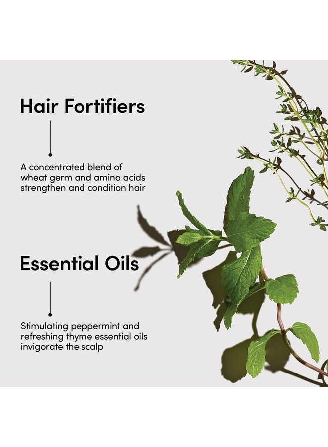LATHER Mint Thyme Crème Rinse Conditioner ; Essential Oils Conditioner ; Conditioner With Mint & Thyme Oil ; Natural Conditioner ; Hair Products For Fine Hair & Oily Hair ; 8 Fl Oz Bottle - Image 4