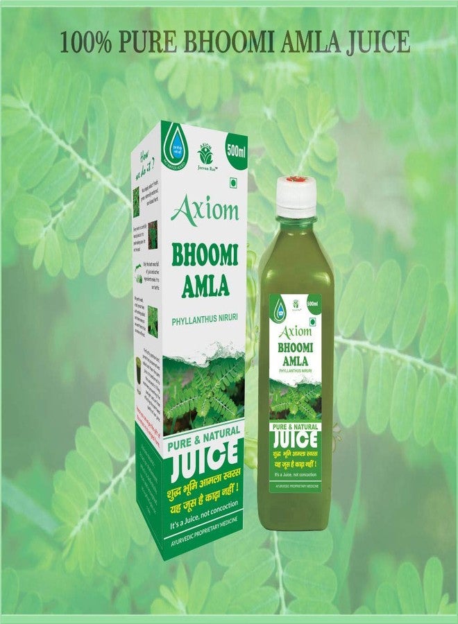 Axiom Ayurveda Bhoomi Amla Juice - 500 ml Pack of 2 | Natural liver detoxifier | Strengthens the digestive system | Rich Supplement with Pure Bhumi Amla Herbs - Image 2