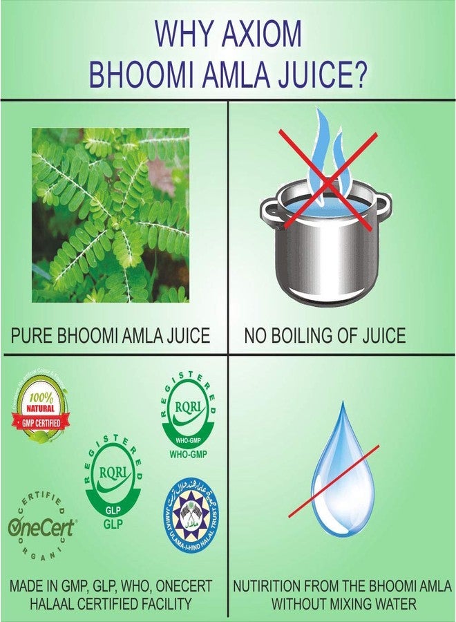Axiom Ayurveda Bhoomi Amla Juice - 500 ml Pack of 2 | Natural liver detoxifier | Strengthens the digestive system | Rich Supplement with Pure Bhumi Amla Herbs - Image 4