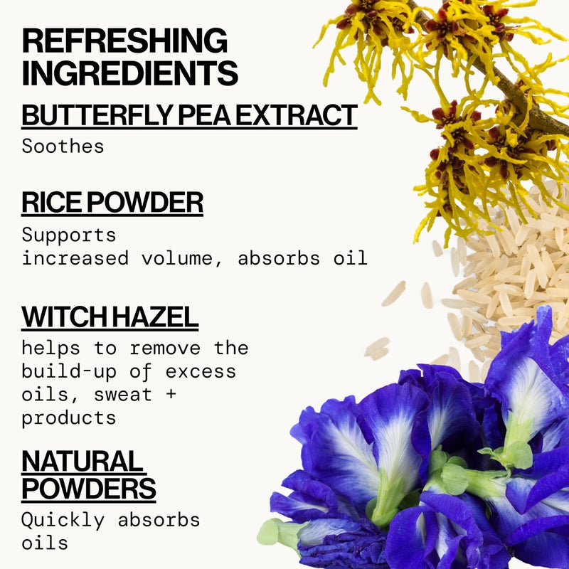 Pacifica Dry Shampoo Powder - Best Day Ever Waterless Shampoo & Instant Volumizer - adds Texture, Refreshes & Absorbs Oil, Non-Aerosol for Women of All Hair Types Natural & Vegan Dermatologist Tested - Image 3