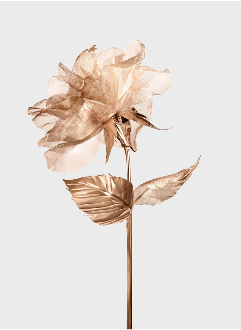 Tiffany Co Rose Gold Eau De Parfum 75Ml