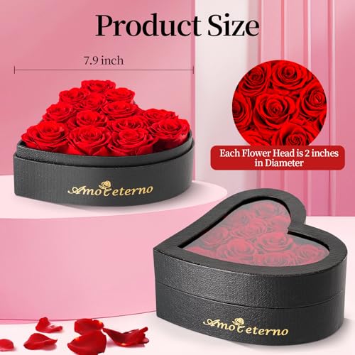 Amoueterno Flower, Forever Roses in A Box, Fresh Flowers, Birthday Gifts for Her, Women, Mom, Girlfriend, Wife, Grandma,Red Forever Roses - Image 4