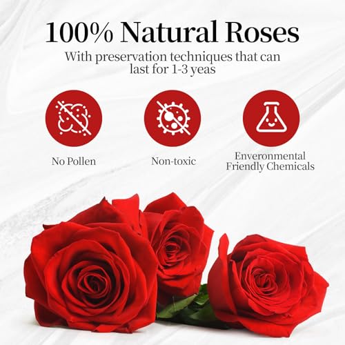 Amoueterno Flower, Forever Roses in A Box, Fresh Flowers, Birthday Gifts for Her, Women, Mom, Girlfriend, Wife, Grandma,Red Forever Roses - Image 2