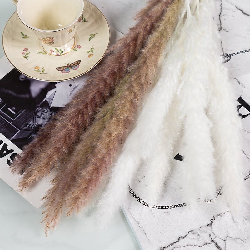 Yunnan Dried Flower Dried Flower Bouquet Reed Grass Pampas Small Dust Dried Flower Small Reed - Image 4