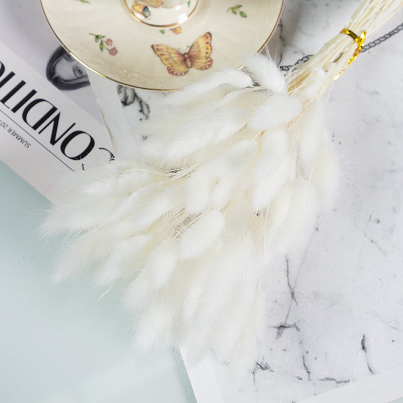 Yunnan Dried Flower Dried Flower Bouquet Reed Grass Pampas Small Dust Dried Flower Small Reed - Image 1