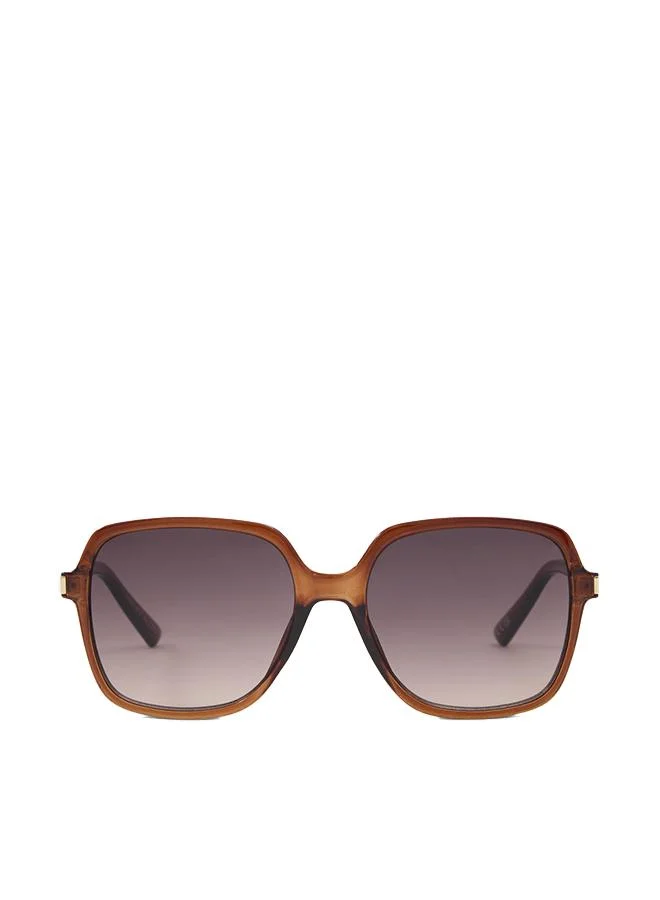 Paollaa-B Ladies Brown Sunglass