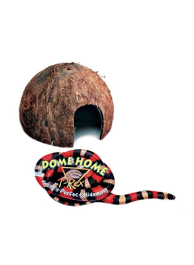 T-Rex ReptileTerrarium Décor - Dome Home - Image 1
