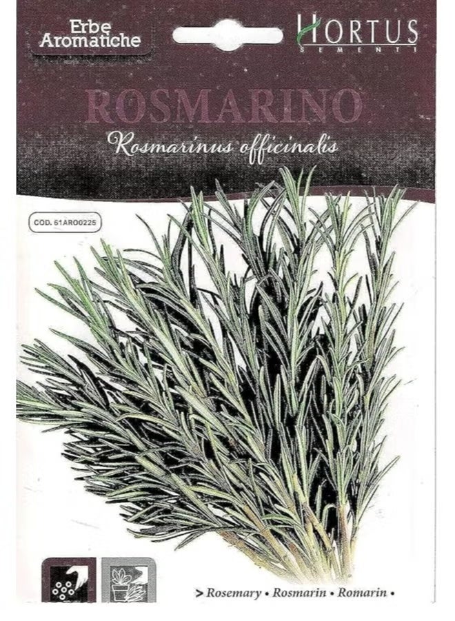 Hortus Rosemary Premium Quality Seeds Italy