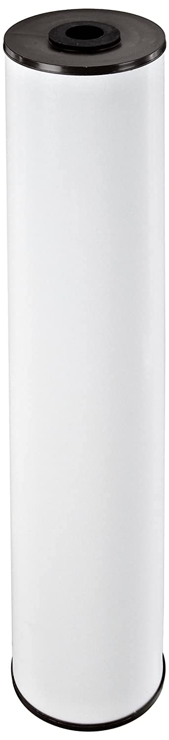 Pentair Pentek RFFE20BB Big Blue Water Filter 20Inch Whole House Radial Flow Iron Reduction Replacement Cartridge 20 x 45 White