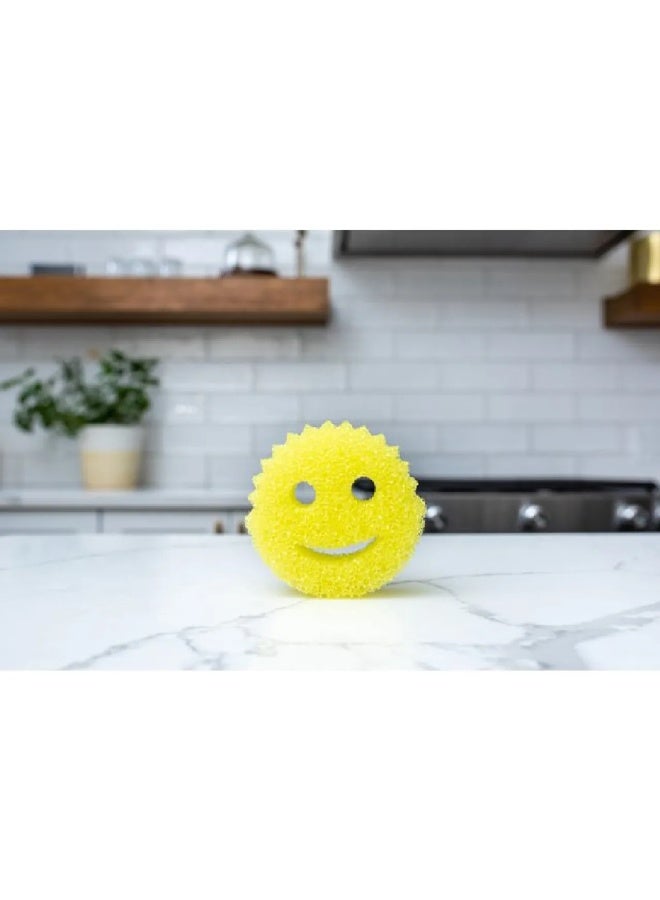 سكراب دادي مجموعة من 4 قطع من الإسفنج والفرشاة - Image 5