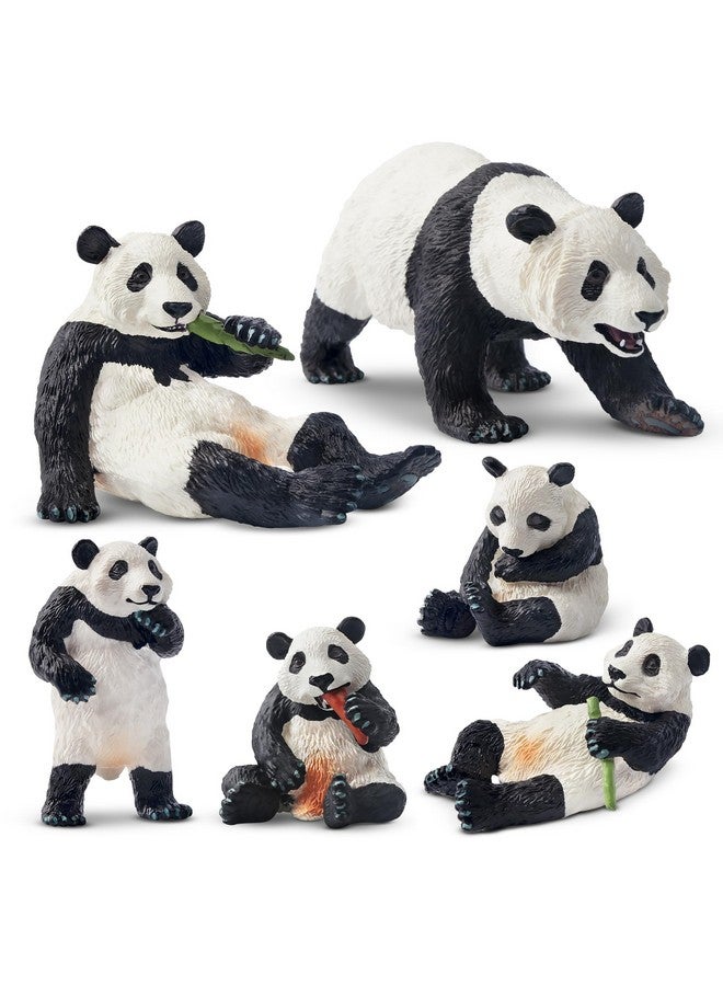 Toymany 6PCS Panda Figurines Toy Set, Realistic Plastic Jungle Animals Figures Family Set with Bamboo & Baby Pandas, Educational Toy Cake Toppers Christmas Birthday Gift for Kids - Image 1