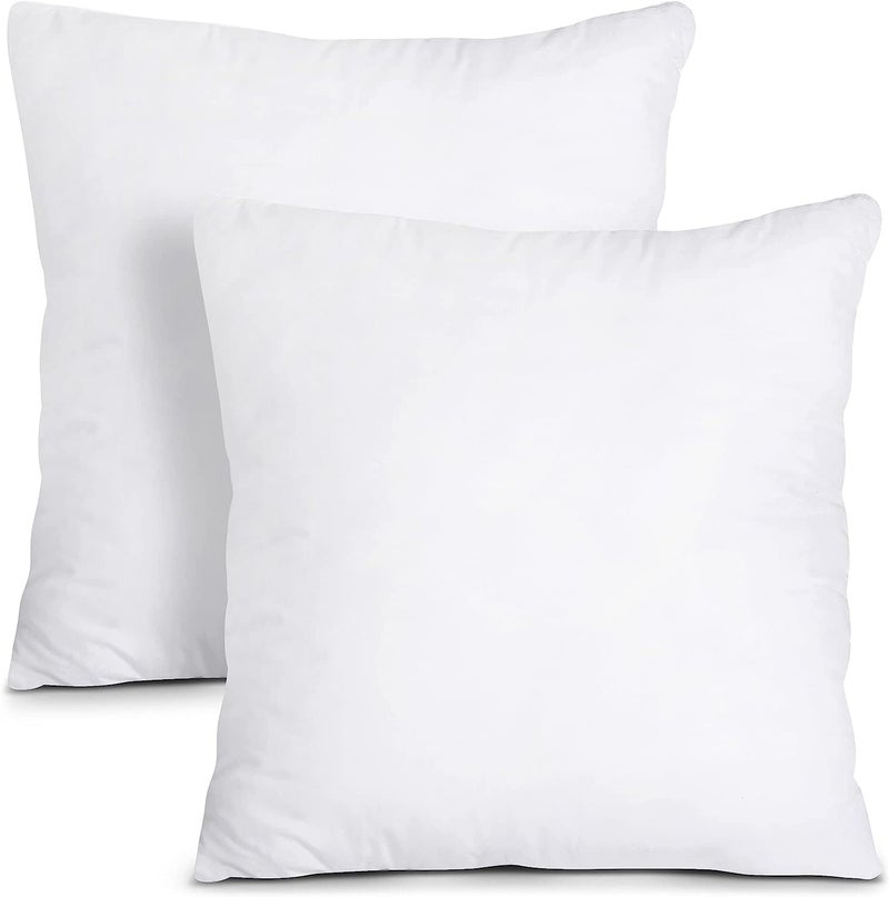 Hoolloomooloo Cushion 22 inch x 22 inch Set of 2 Plain White Throw Pillow Insert Cozy and Soft Sofa Microfiber Fill Cushion for Stylish Home Decor White
