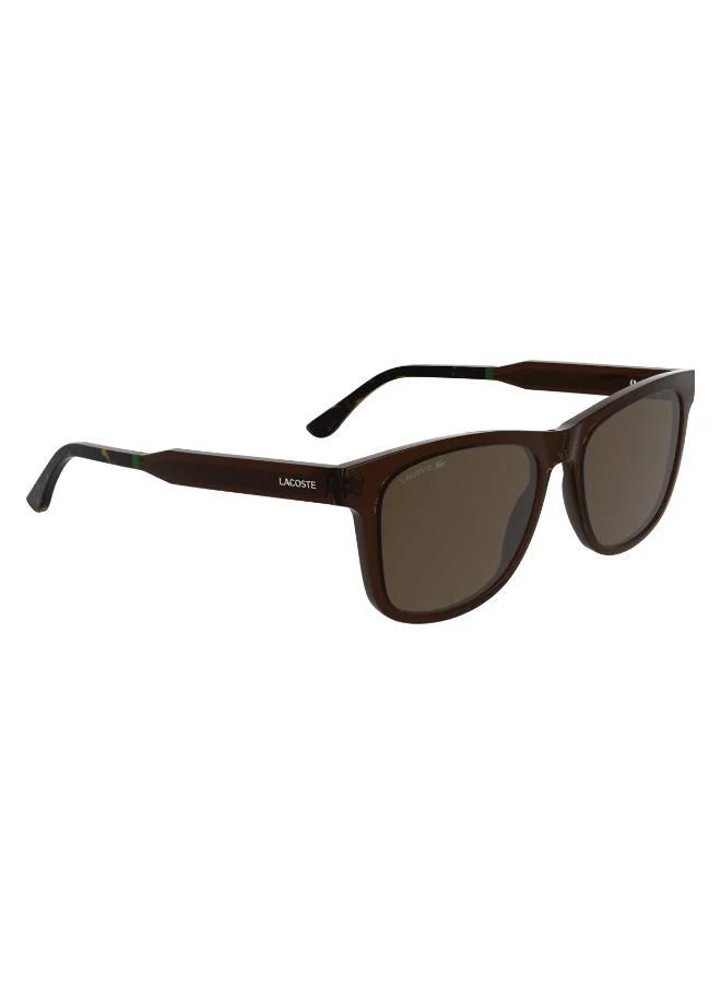 LACOSTE Modified Rectangle Sunglasses