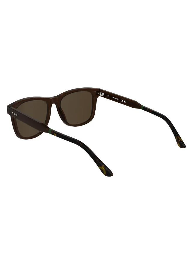 LACOSTE Modified Rectangle Sunglasses