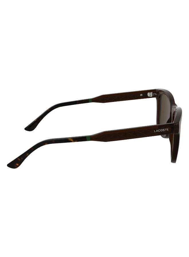 LACOSTE Modified Rectangle Sunglasses