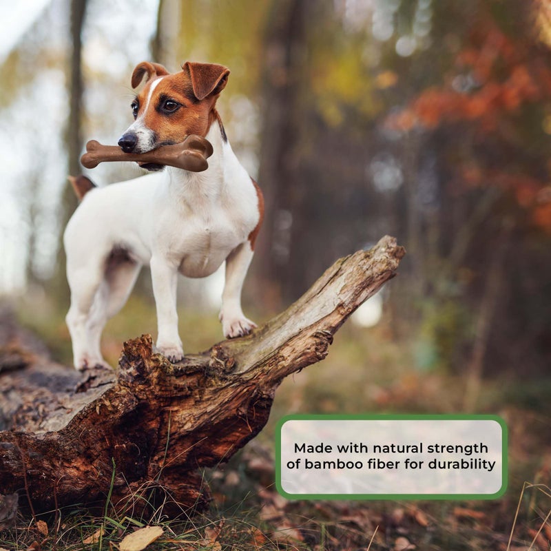 SPOT Bam-Bones Bone - Made with Strong Bamboo Fiber, Durable Long Lasting Dog Chew for Light to Moderate Chewers, Great Toy for Adult Dogs & Teething Puppies under 25lbs, 5.75in, Chicken Flavor - Image 3