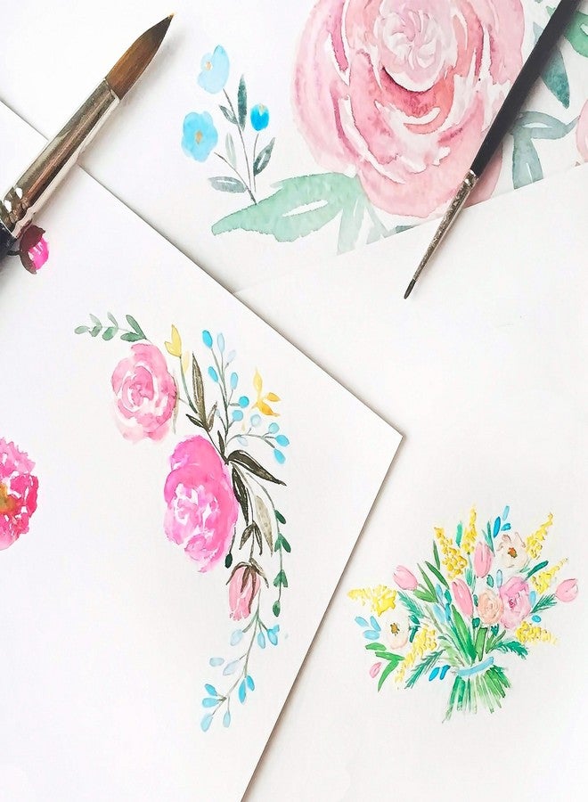 Sonnet Student Grade Watercolor Paint Set 24 Full Pans 2.5ml Vibrant Colors for Artists and Beginners in Cardboard Box by Nevskaya Palitra - Image 5