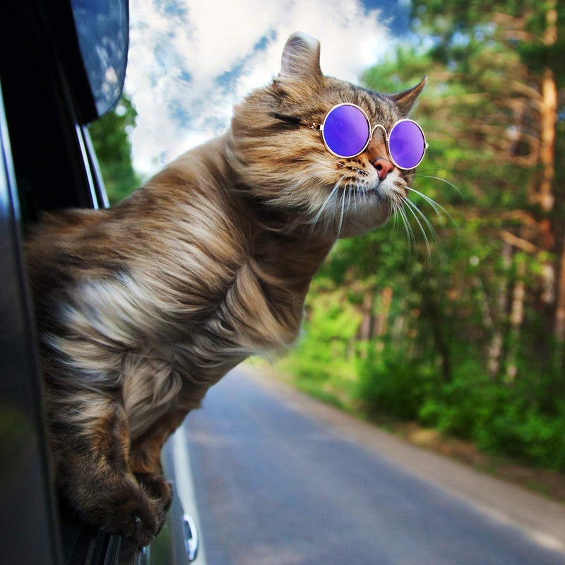 Frienda 6 Pieces Cat Sunglasses Funny Pet Sunglasses Small Dog Sunglasses Classic Retro Circular Pomeranian Sunglasses Eyewear Photos Props Accessories Cosplay Glasses Black and Mix Reflective Color - Image 4