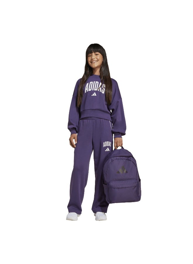 Adidas Jg Clgt Ft Swt Purple Training Sweatshirts For Junior 7-8Y - Image 4