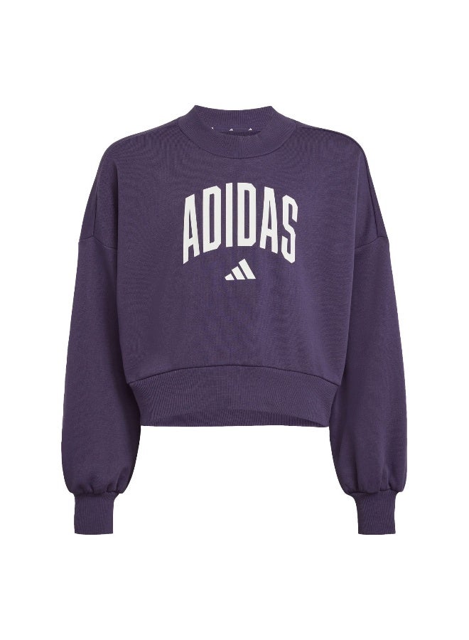 Adidas Jg Clgt Ft Swt Purple Training Sweatshirts For Junior 7-8Y - Image 1