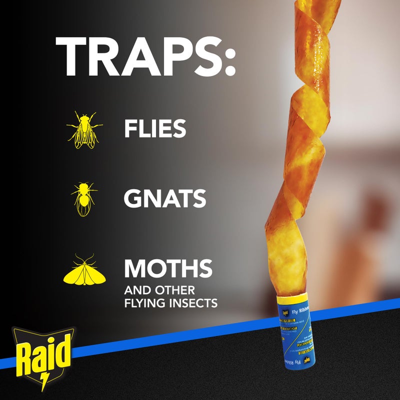 Raid Fly Ribbon, Fly Traps for Indoors and Outdoors, Bug Trap for Flying Insects, Pack of 10 - Image 3
