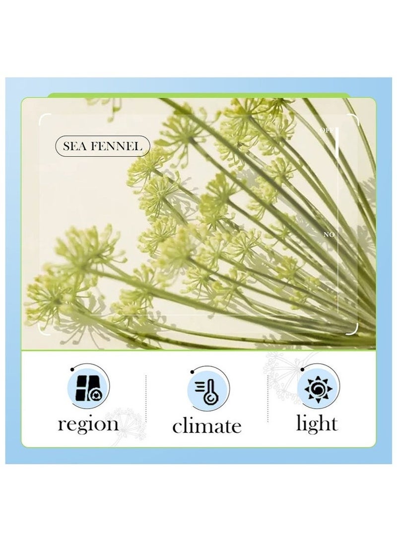 BIOAOUA sea fennel hyaluronic acid anti wrinkle face cream | deep moisturizing | anti wrinkle repair face cream - Image 3