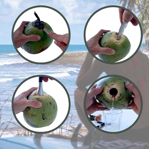 Homava Stainless Steel Coconut Opener - Effortlessly Open Peeled Thai Young White Coconuts for Fresh Water - Fast, Easy, and Secure Coconut Opener Tool for Hawaii & Thai Coconuts | Silver - Image 4
