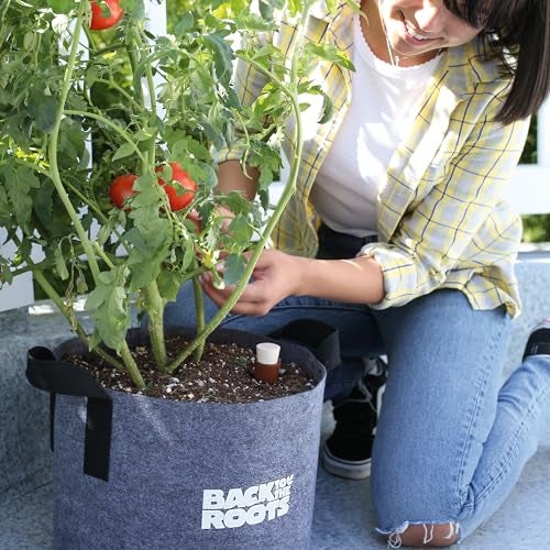 Back to the Roots Self-Watering Terracotta Olla Pot, 700mL Provides 1 Week of Precision Watering - Image 5