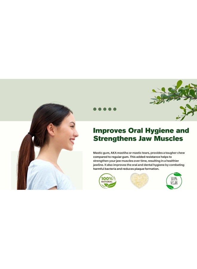 Terra Greek دموع الماستيكا الطبيعية من خيوس - 20 جرام - Image 4