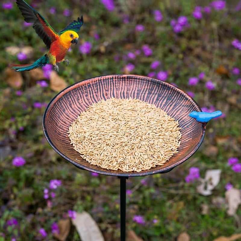 VEWOSTAR Metal Bird Bath for Outdoor,10" Wide Standing Frees Birdfeeder with Metal Stake,Vintage Bird Baths Feeder Bowl for Outdoors Garden Patio Yard Lawn Decor (Antique Bronze) - Image 5