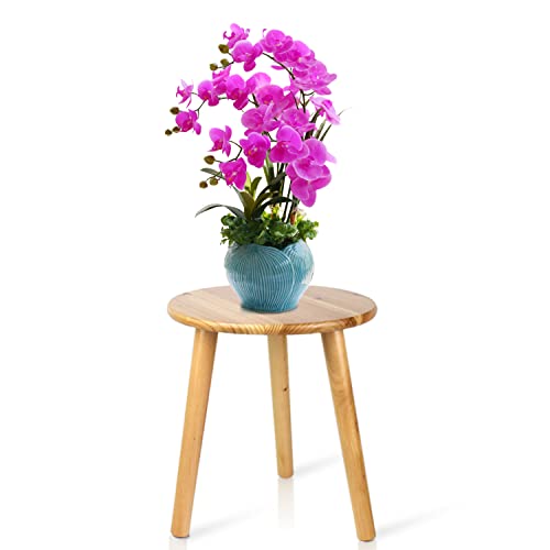 Ethuh Plant Stand stool for Plant Small Plants Stand - Plant Table Mid Century Plant Stands - Image 1