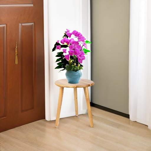 Ethuh Plant Stand stool for Plant Small Plants Stand - Plant Table Mid Century Plant Stands - Image 5